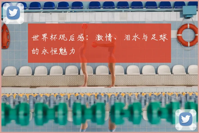 世界杯观后感：激情、泪水与足球的永恒魅力